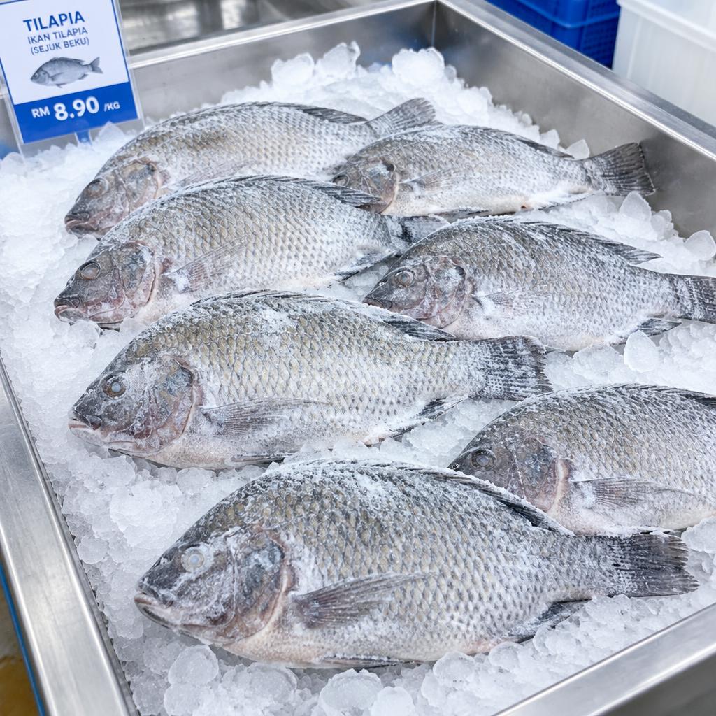Tilapia Beku (Whole)